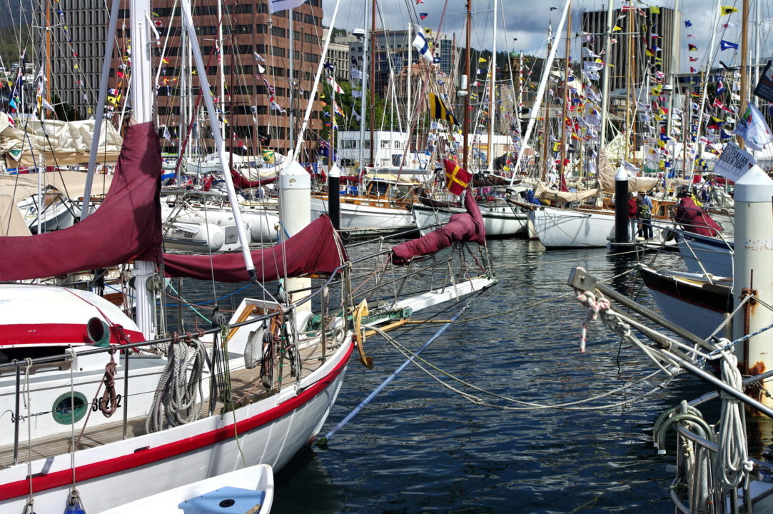 The wooden boat festival