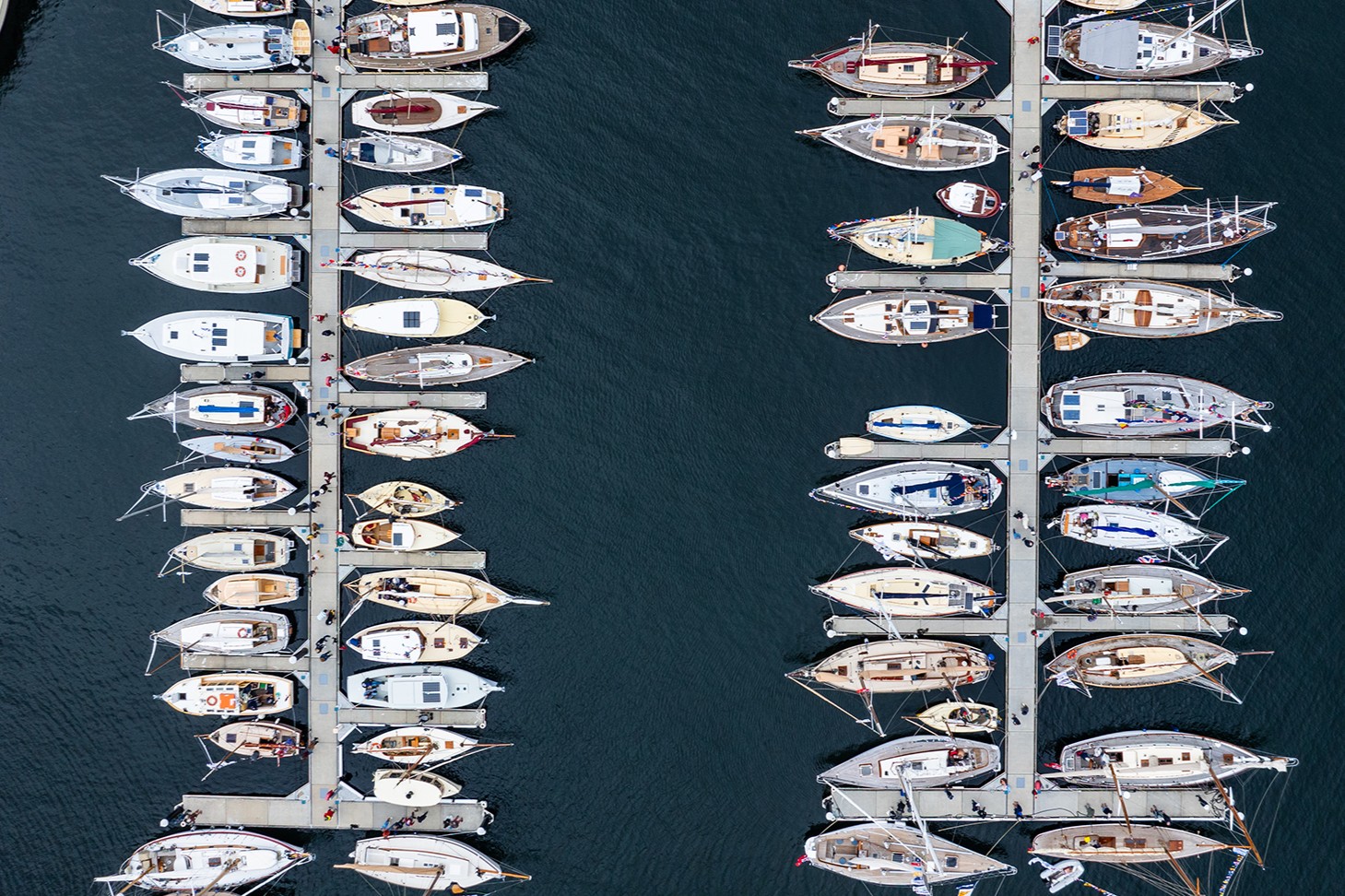Boats Afloat